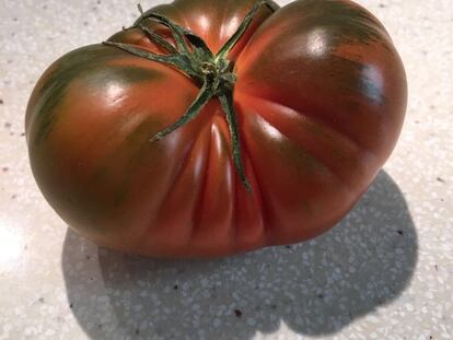 Tomates de invierno, ¿verdaderos o falsos?