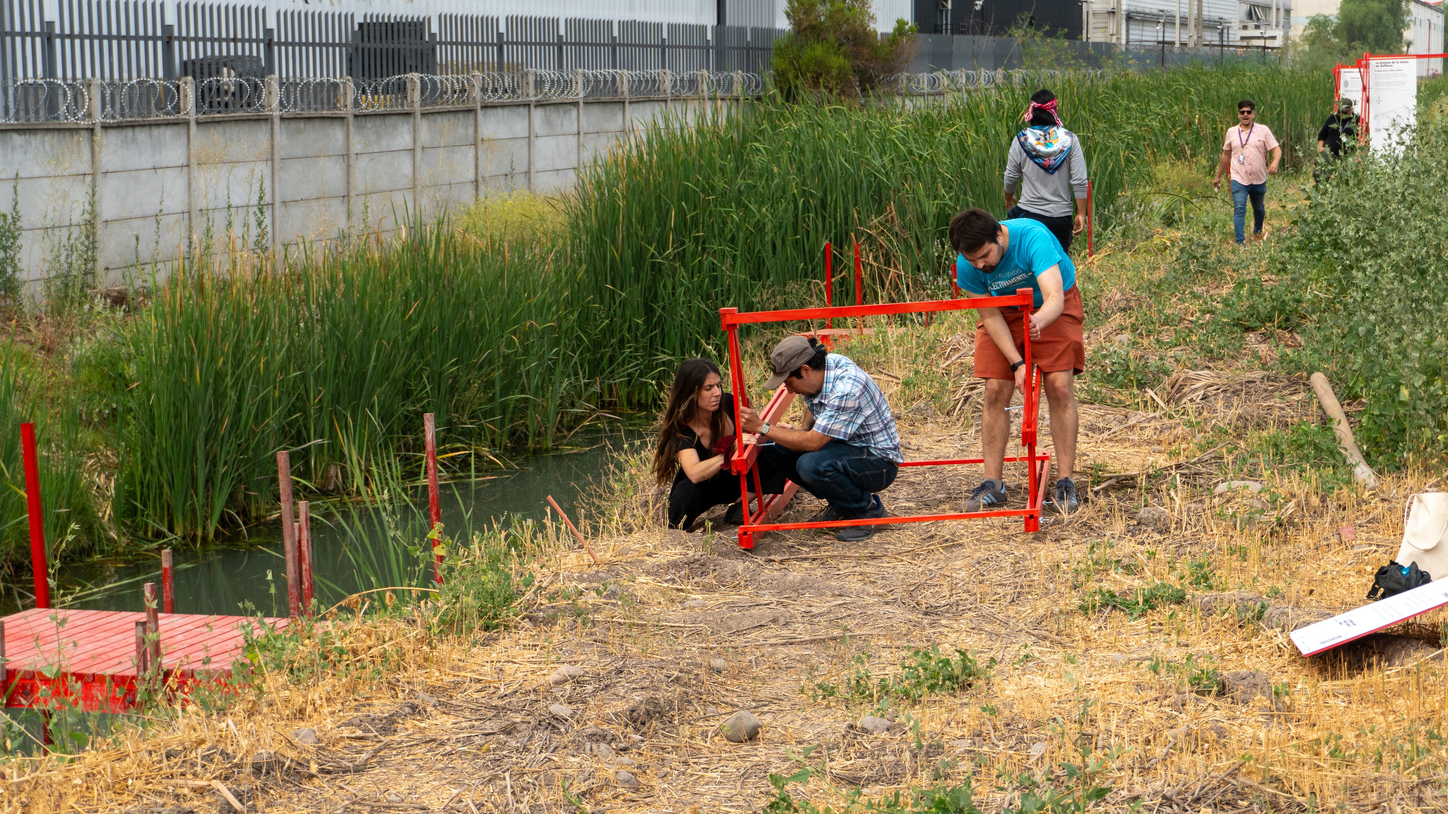 Los artesanos de la totora que salvan un humedal urbano en Santiago de Chile