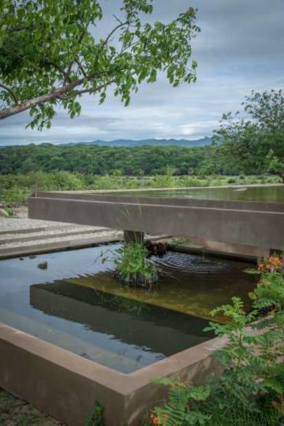 Vivero en México, de Ambrosi Etchegaray.