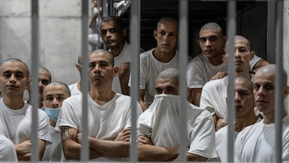 Inmates in the Terrorism Confinement Center (CECOT) in the municipality of Tecoluca, El Salvador, on February 6, 2024.