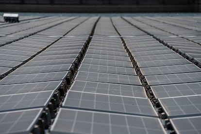 Paneles solares fluctuantes en el embalse del Alqueva, en el Alentejo portugués.