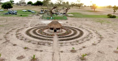 La primera fase de uno de los proyectos de la iniciativa Toulou Keur para restaurar los suelos y generar empleos y alimentos, en Senegal.