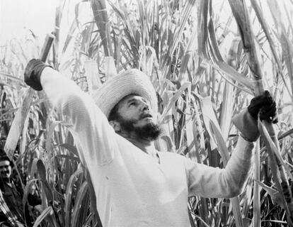 El líder cubano Fidel Castro cortando caña en un campo en febrero de 1961.