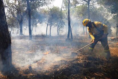 Incendi forestal a Doñana.
