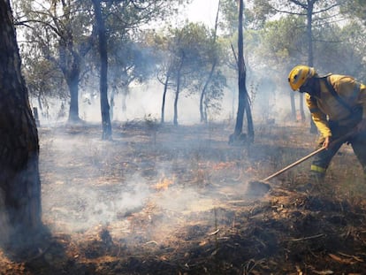 Incendi forestal a Do&ntilde;ana.