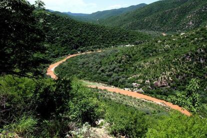 El río Sonora, contaminado por un vertido de sulfato de cobre acidulado en una imagen del 12 de agosto