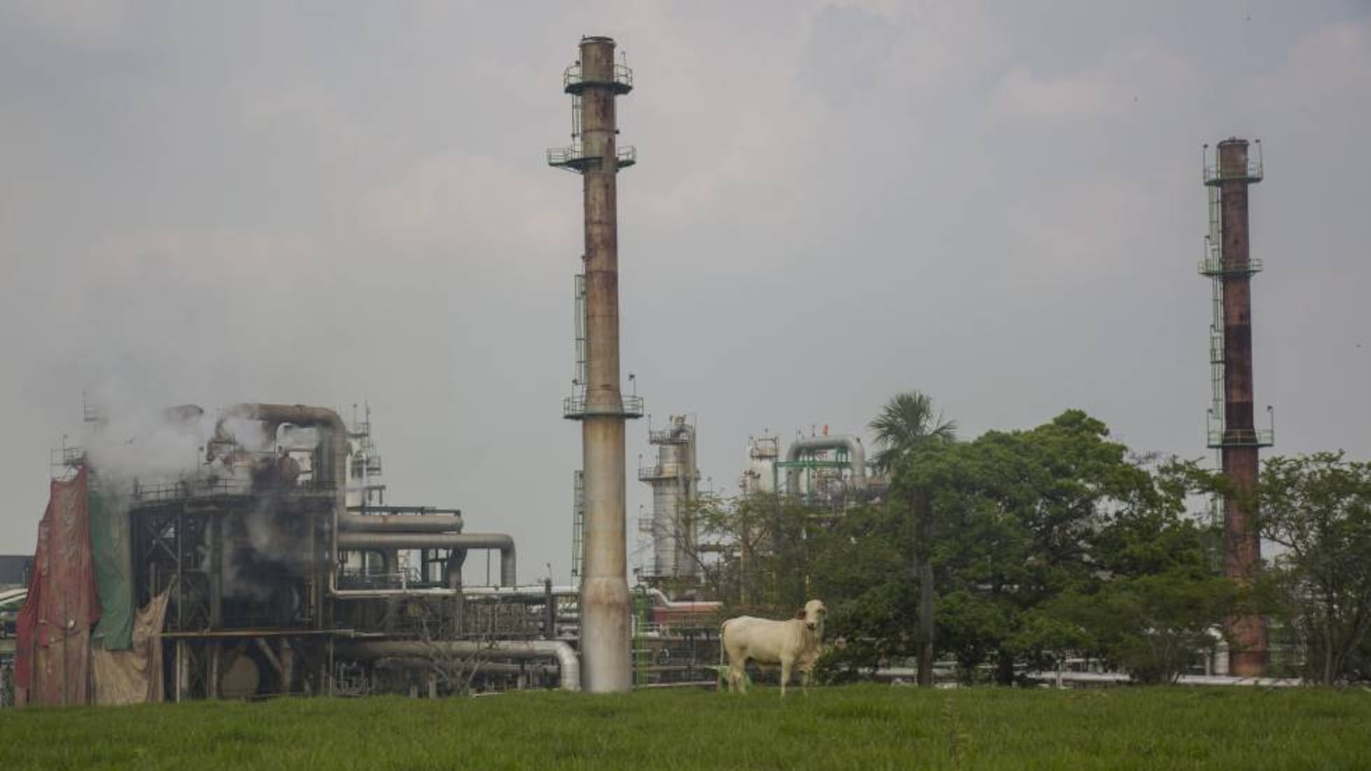 El ocaso de Ciudad Pemex | México | EL PAÍS
