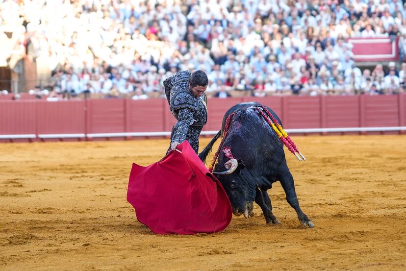 La Maestranza, la fiesta de los toros y Morante… víctimas de la ...