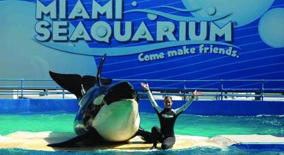 El Miami Seaquarium de Parques Reunidos