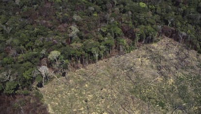 Una zona deforestada para el cultivo agrícola en la Amazonia.
