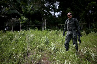 Un policía antinarcóticos durante una operación de erradicación de cultivos ilícitos en la costa suroeste de Colombia, el pasado febrero.