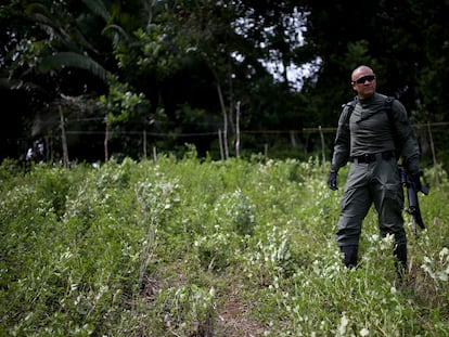 Un policía antinarcóticos durante una operación de erradicación de cultivos ilícitos en la costa suroeste de Colombia, el pasado febrero.