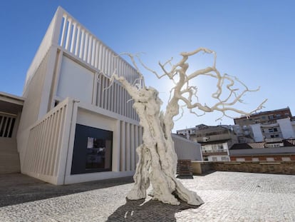 Museo de Helga Alvear en Cáceres.