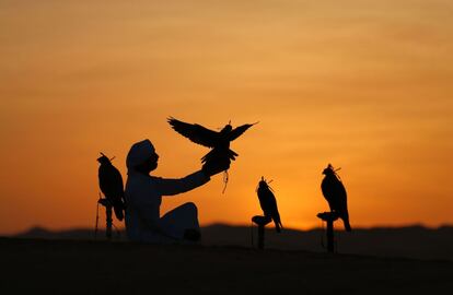 Una persona perteneciente a la tribu Qubaisi entrena halcones en el desierto de Liwa (Emiratos Árabes Unidos).