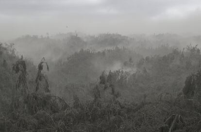 Nuvens de cinza vulcânica cobrem as árvores em Loureiro, província de Batangas (Filipinas).