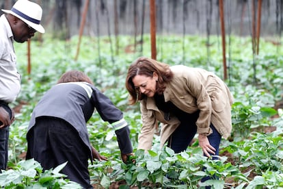 Kamala Harris