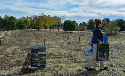 Una vecina de Pozuelo de Alarcón (Madrid) protesta contra la siembra fallida de encinas en el Parque de La Cruz de La Atalaya, el 26 de octubre de 2024.