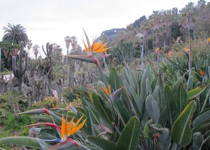 Los jardines de Costa i Llobera.