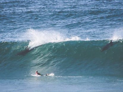 La máquina de olas