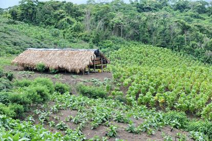 En El Salado se perpetró hace 17 años una de las matanzas más atroces que se han llevado a cabo en Colombia.