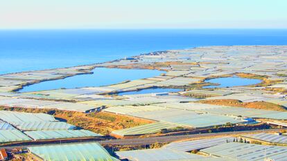 Albuferas de Adra (Almería), al borde del mar y estranguladas por los invernaderos de hortalizas, el pasado enero.
