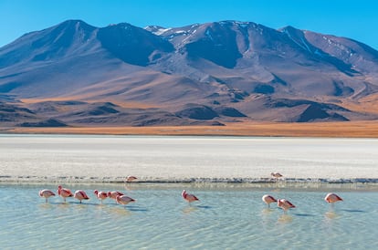 La laguna de Hedionda.