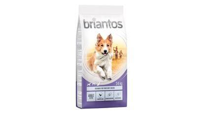 Pienso para perros Briantos Active.