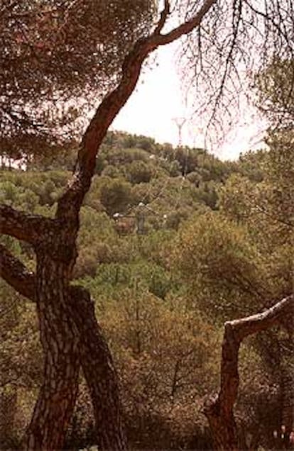 El tren veloz a Valladolid pasará por esta finca, debajo del tendido eléctrico.