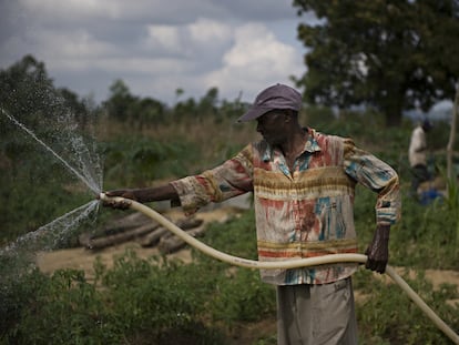 Un granjero riega sus cultivos con una manguera en Haití.