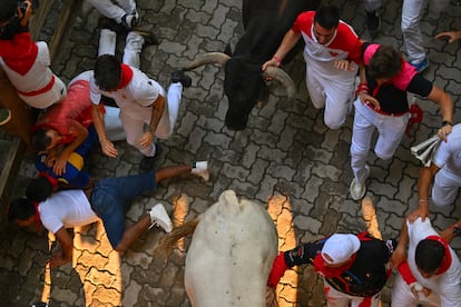 Loos toros de la ganadería Miura rodeados de corredores durante el último encierro de San Fermín, este lunes en Pamplona.