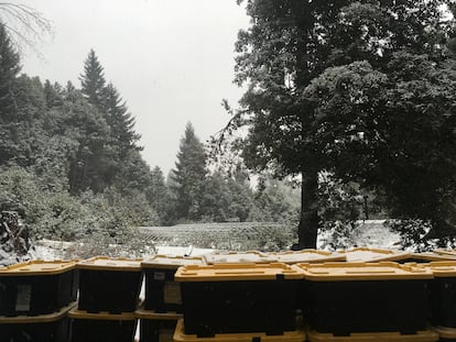 Exterior de la granja de la organización búlgara en Alderpoint, en 2019.