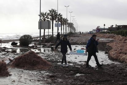 Efectos del temporal Gloria en el Delta del Ebro.