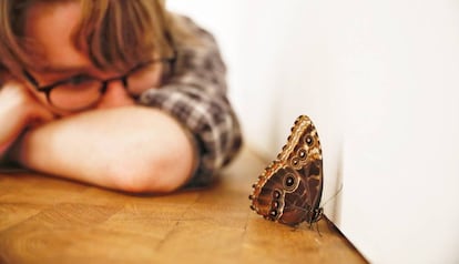 Un niño observa la mariposa posada en el suelo de la Fundación Tàpies, ayer. 