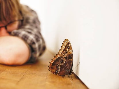 Un niño observa la mariposa posada en el suelo de la Fundación Tàpies, ayer.