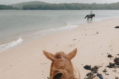 Brais Martínez leads a horseback riding route along the coast in the parish of Leis de Nemancos (Muxía, A Coruña). While riding through a wooded area of chestnut and pine trees and along the sand of the Área Grande beach, Martínez interprets the environment and explains the behavior of the horses and their relationship with those who ride them. No previous experience is required.