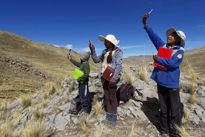 Los hermanos Álvaro, Roxana y Juan Carlos Cabrera buscan señal en la cima de una colina para asistir a sus clases virtuales, cerca de su casa en la remota comunidad montañosa de Conaviri, Perú.