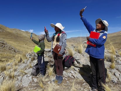 Tres hermanos buscan señal en la cima de una colina para asistir a sus clases virtuales, cerca de su casa en la remota comunidad montañosa de Conaviri en Perú.