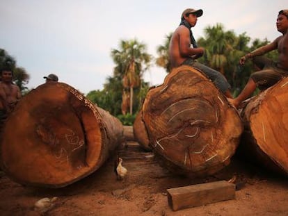 Deforestation affects the Madre de Dios region in the Peruvian Amazon.