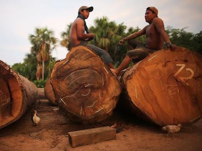 Deforestation affects the Madre de Dios region in the Peruvian Amazon.