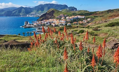 Punta de San Lorenzo, en la costa este.