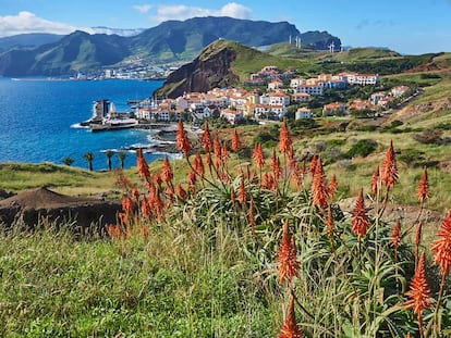 Punta de San Lorenzo, en la costa este.