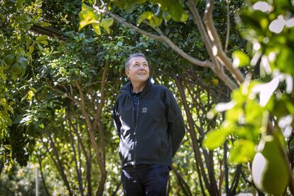 Vicente Todolí, en la Todolí Citrus Fundació, en Palmera (Valencia). 