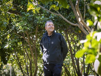 Vicente Todolí, en la Todolí Citrus Fundació, en la localidad de Palmera (Valencia).