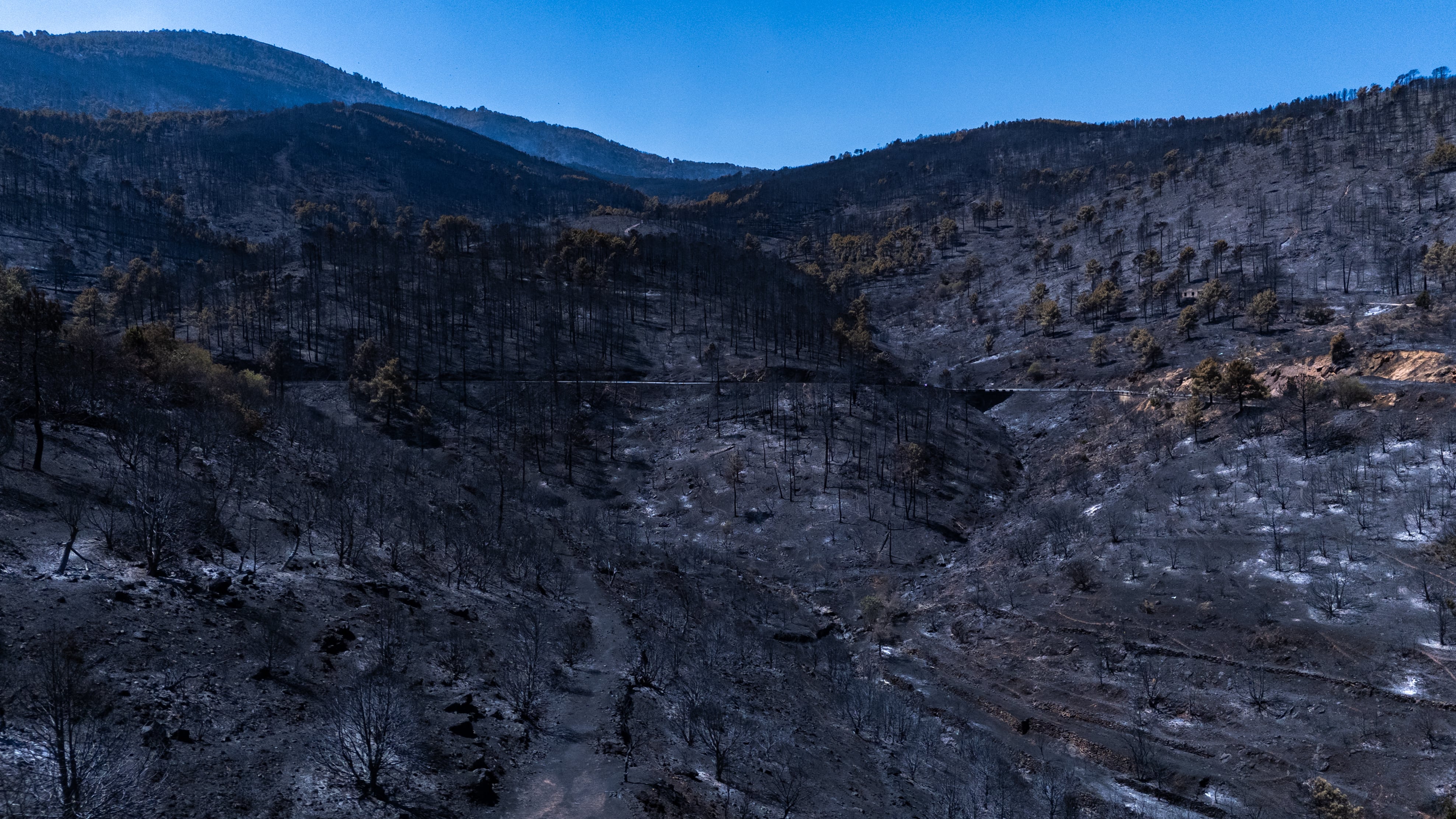 Vista aérea de la zona afectada por los incendios junto a la presa del Burguillo el día 26 de julio en El Tiemblo.