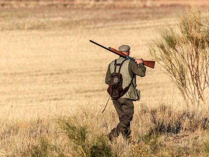 Un cazador en el campo.