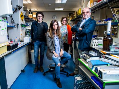 From left to right, researchers Marcos Malumbres, Carolina Villarroya, Sandra Rodríguez and Miguel Urioste, in a laboratory at the National Cancer Research Center.