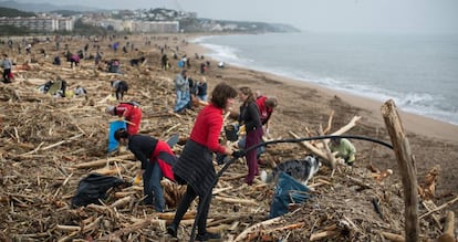 Voluntaris netegen la platja d'Arenys de Mar després del temporal 'Glòria'.
