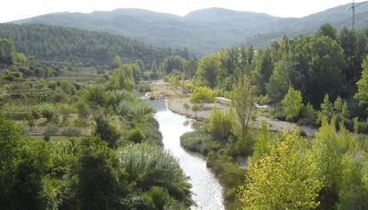 El tramo del r&iacute;o Millars antes de la modificaci&oacute;n de su curso por las obras.