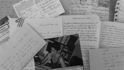 Una fotografía de Lydia Cacho y sus diarios personales.