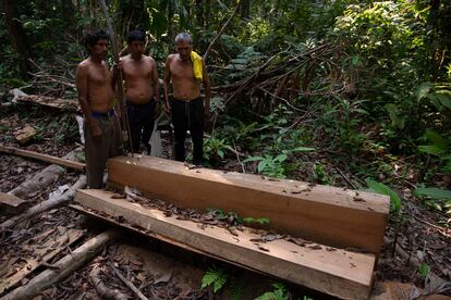 Tres comunarios yuquis encuentran un árbol ilegalmente talado y laminado dentro de su territorio TCO Yuqui-CIRI. El TCO consiste en 125.000 hectáreas y conviven al menos tres pueblos indígenas diferentes: los yuquis, los yuracarés y los trinitarios. Existen 298 TCO (ahora llamados TIOC) en Bolivia y representan casi el 25% de la Amazonía boliviana. Pincha en la imagen para ver toda la fotogalería.